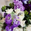 janice-nick-newport-wedding_122