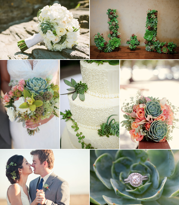 newport wedding succulents