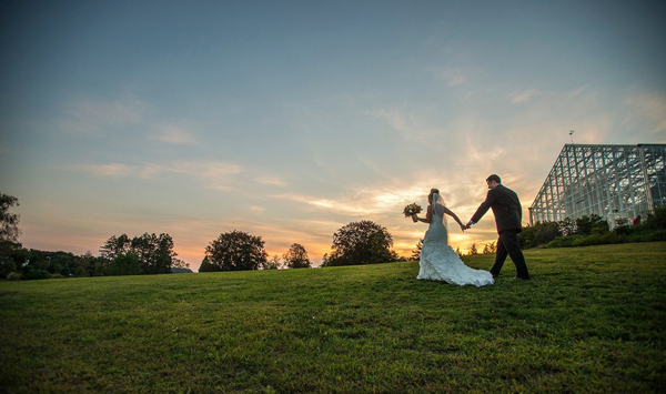 blueflash just because