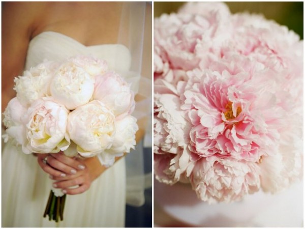 Newport Wedding Glam peonies