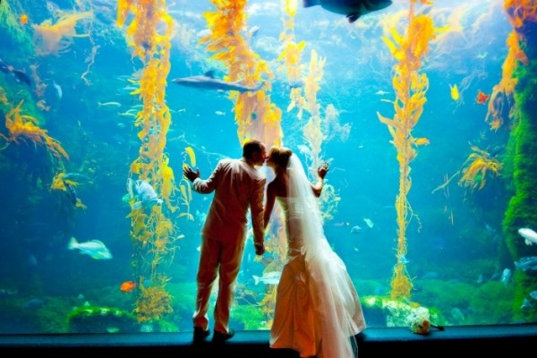 Newport Wedding Glam under the sea