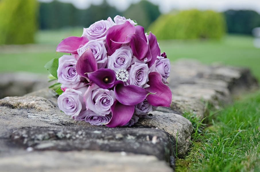 View More: http://brittanyadamsphotography.pass.us/torren-wedding